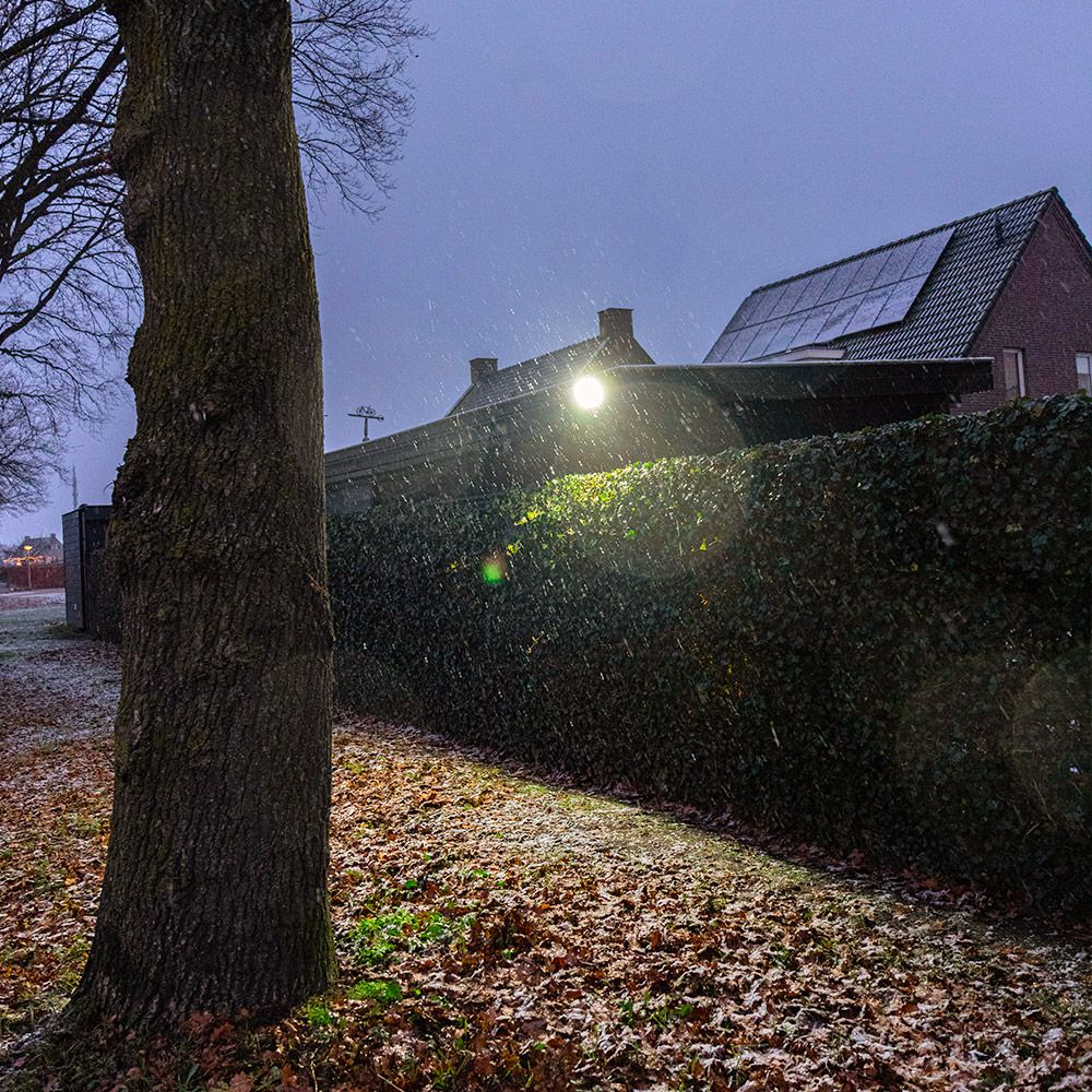 Hoftronic Lumos LED Breedstraler met Sensor IP65 4000K