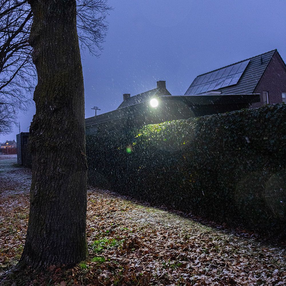 Hoftronic Lumos LED Breedstraler Sensor IP65