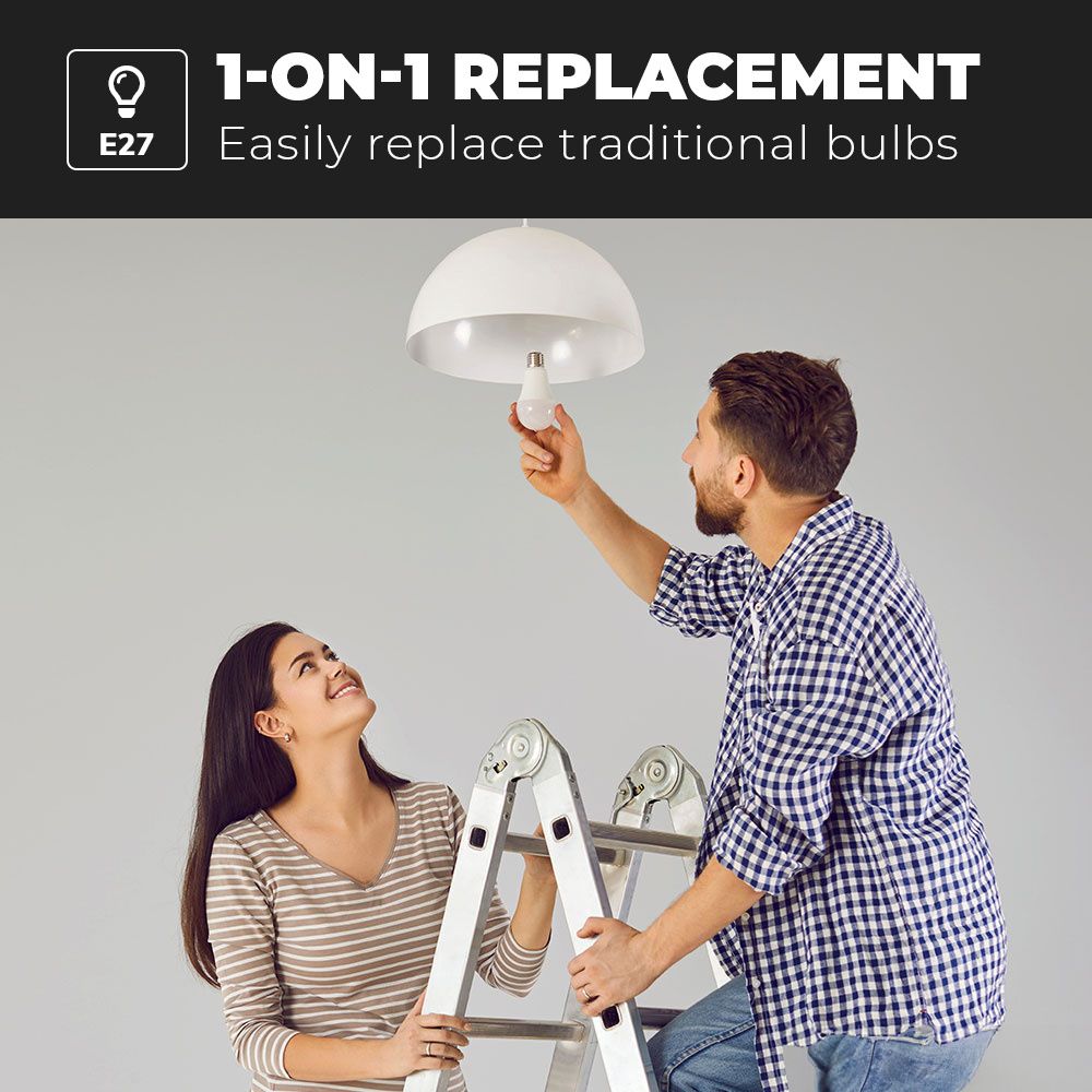 Hoftronic LED Lamp E27 IP20 15W 1521lm A65