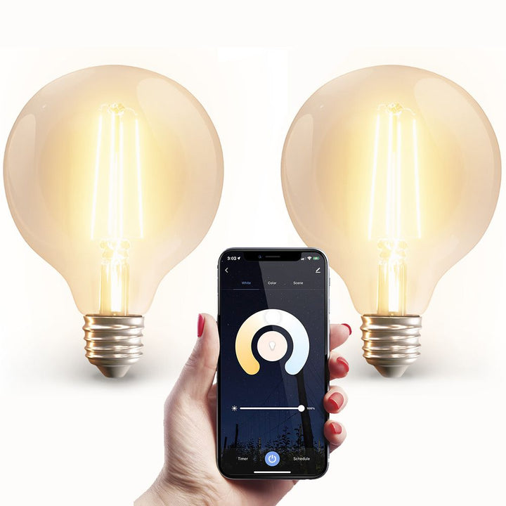 Hoftronic Smart LED Filament Lamp G95 IP20 7W 806lm E27 Set van 2